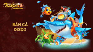 bắn cá disco